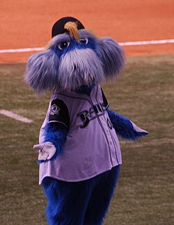 Raymond, the Rays' first mascot, pictured in 2007.