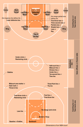 Most important terms related to the basketball court