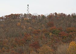 Elba Fire Tower in Minnesota