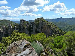 Sulcis Regional Park, the largest Mediterranean evergreen forest in the Mediterranean Basin.[145]