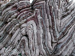 Folded rock strata