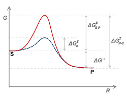 Activation energy is decreased in the presence of an enzyme to catalyze the reaction.