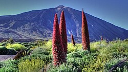 Mount Teide