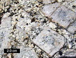 Porphyritic texture in a granite. This is an intrusive porphyritic rock. The white, square feldspar phenocrysts are much larger than crystals in the surrounding matrix; eastern Sierra Nevada, Rock Creek Canyon, California.