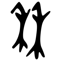 Ancient form 秝 in oracle bone script