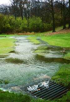 Runoff flowing into a stormwater drain