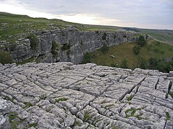 Limestone pavement above Malham Cove