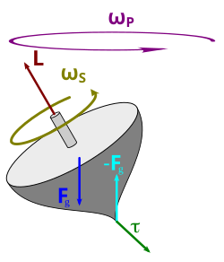 The torque caused by the two opposing forces Fg and −Fg causes a change in the angular momentum L in the direction of that torque. This causes the top to precess.