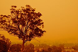 Looking towards the town Swifts Creek, Victoria, in December 2006 during the Victorian Alpine fires