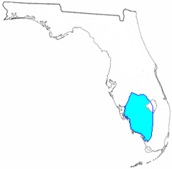 The remaining Seminoles in Florida were allowed to stay on an informal reservation in southwest Florida at the end of the Second Seminole War in 1842.