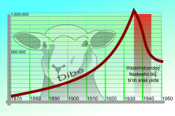 Number of sheep (dibé) present on the Navajo Nation