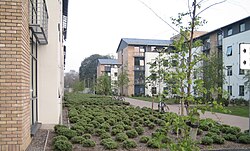 Glenomena student residences, Belfield campus, UCD