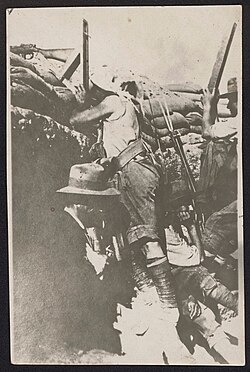 In the Front Line, Anzac Cove 1915 H84.356/33 State Library Victoria