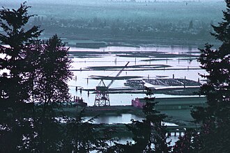 The harbor of Bellingham, Washington, United States, filled with logs, 1972