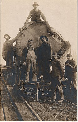 Loggers with a ten-foot fir log in Shelton, Washington in the early 20th century