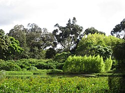 Córdoba wetland