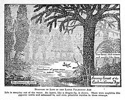 Swamp forest in the Carboniferous