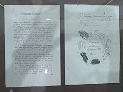 Matica Srpska Charter