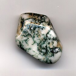 Tree agate