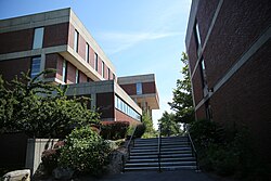 From 2017 to 2018, Ross was a visiting associate professor in the Women's Studies department at Hampshire College, teaching the course "White Supremacy in the Age of Trump."
