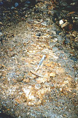 Gold-bearing quartz veins, Blue Ribbon Mine, Alaska