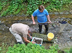 Biologists collecting information in the field