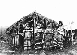 The Seminole family of tribal elder, Cypress Tiger, at their camp near Kendall, Florida, 1916. Photo taken by botanist, John Kunkel Small