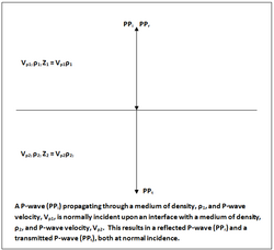 P-wave reflects off an interface at normal incidence