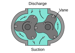 Lobe pump internals