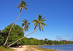 Erakor Beach on Efate island