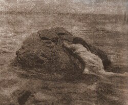 The Soul in Bondage), by Jane Reece (1911)