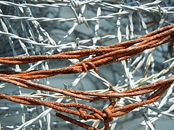 Rusted barbed wire in a roll