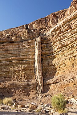 A magmatic dike (vertical) cross-cutting horizontal layers of sedimentary rock, in Makhtesh Ramon, Israel