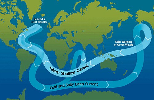 A schematic of modern thermohaline circulation. Tens of millions of years ago, continental-plate movement formed a land-free gap around Antarctica, allowing the formation of the ACC, which keeps warm waters away from Antarctica.