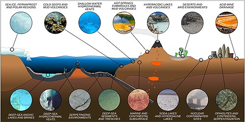 Diversity of extreme environments on Earth [1]