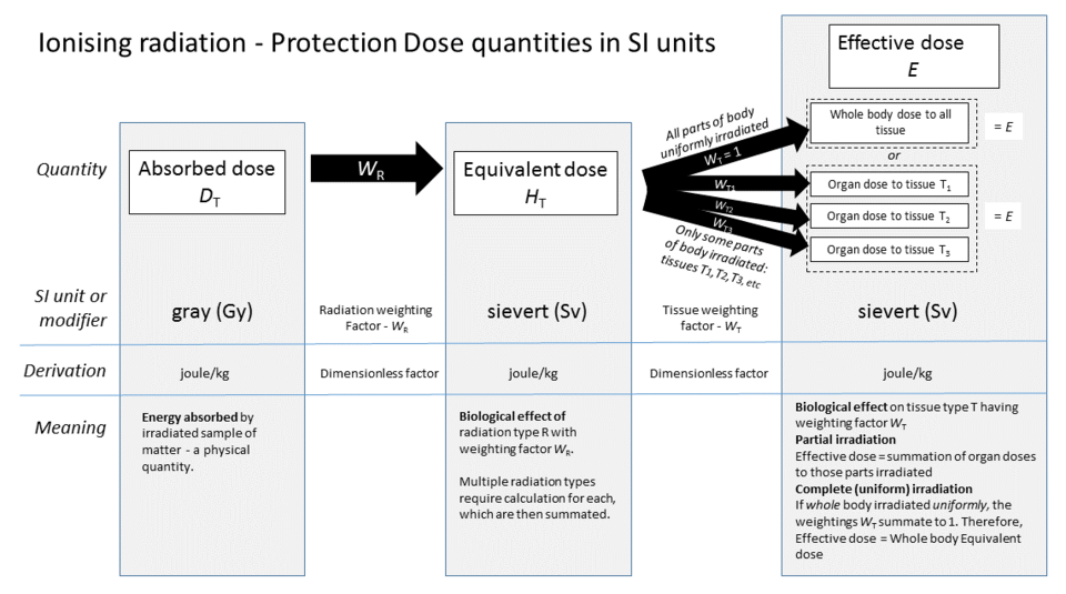 Graphic showing relationship of "protection dose" quantities in SI units
