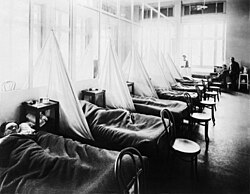 American Expeditionary Force victims of the flu pandemic at and American camp hospital in France during the 1918 flu pandemic