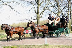 Park drag built by Brewster in 1887