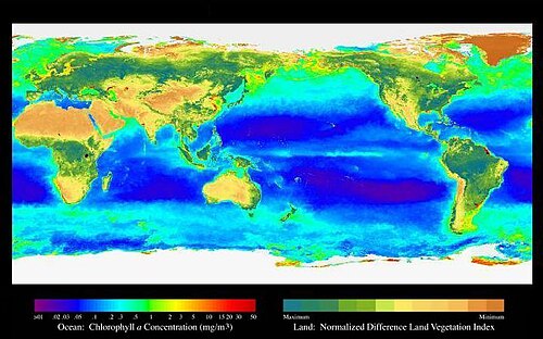 Global distribution of surface chlorophyll levels. Chlorophyll (a proxy for phytoplankton mass) is relatively low in the three HNLC regions (North Pacific, Equatorial Pacific, and Southern Ocean).