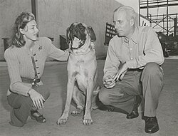 Howard Hawks with Slim Keith and dog