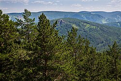 Siberian taiga