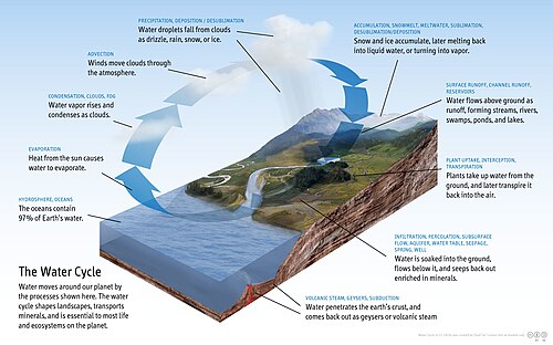 The ocean is a major driver of Earth's water cycle.