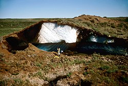 Detail of pingo in the Mackenzie Delta with massive injection ice. August 8, 1987.