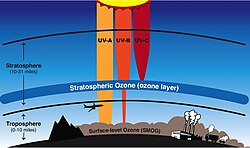 The ozone layer in the stratosphere blocks harmful UV radiation from reaching the surface of the Earth. A gamma-ray burst would deplete the ozone layer, allowing UV radiation through.
