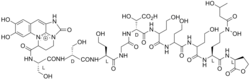 Azotobactin, a mixed-ligand siderophore