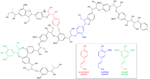 Chemical structure of lignin, which makes up about 25% of wood dry matter and is responsible for many of its properties.
