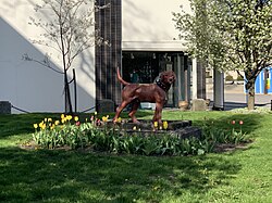 Morley's Dog, a sculpture that survived the 1889 flood