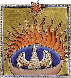 Detail from the 12th-century Aberdeen Bestiary, featuring a phoenix