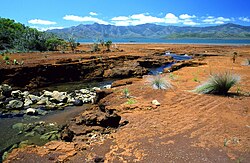 A creek in southern New Caledonia. Red colours reveal the richness of the ground in iron oxides and nickel.