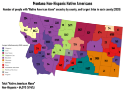 Largest Non-Hispanic Native American ancestry by county and numbers of people reporting "Native American Alone"